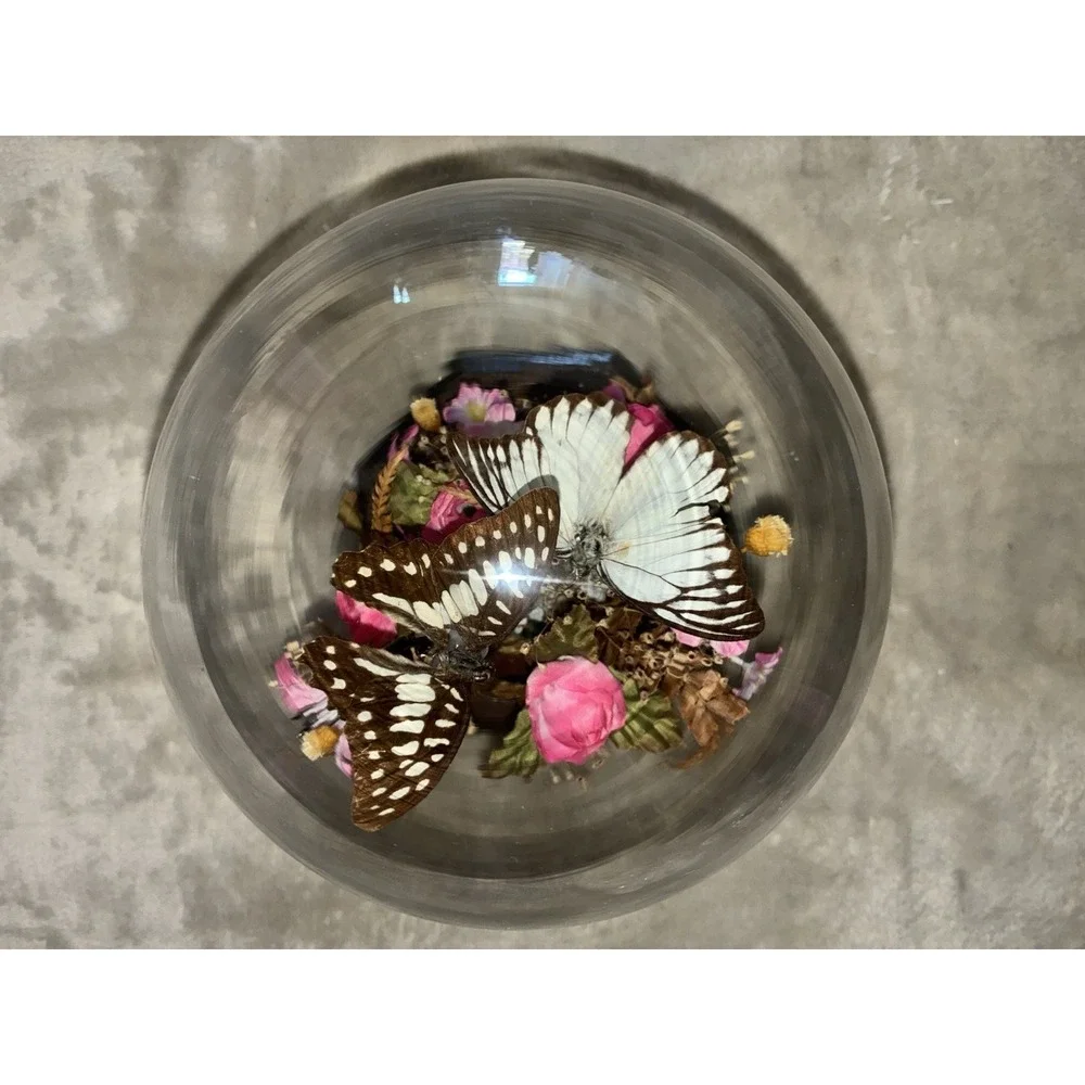 Vintage Butterfly Taxidermy Dried And Faux Pink Flowers In Glass Dome‎ Decor